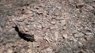 preview picture of video 'Spanish Treasure Two, Ft. Defiance, Arizona - May 15, 2010'