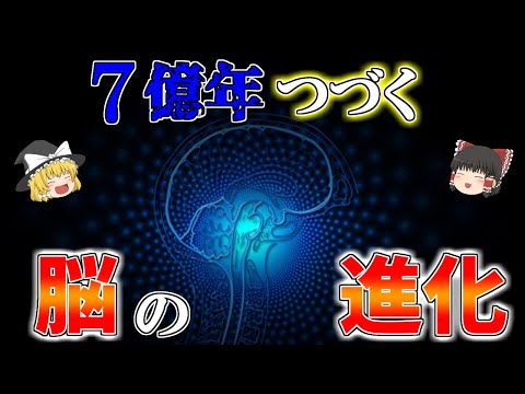 脳の歴史 - 定義