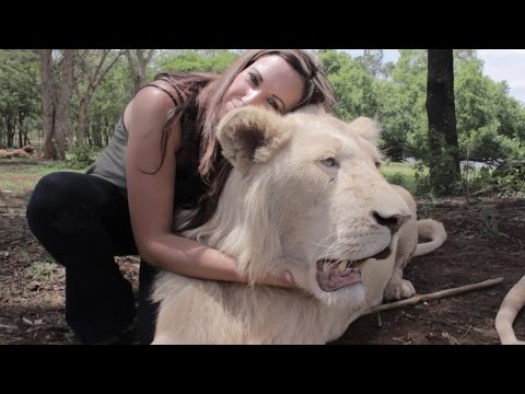 Tzaneen Lion & Predator Park: Walking with Lions