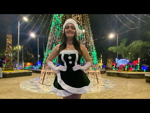 Caravana Navidad Palermo Huila; gobernación Huila