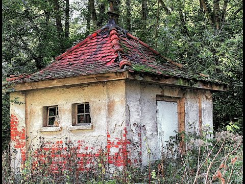 Vec majen e tij ma f uti,por u kalla krejt..