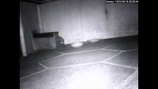 Billy leaves home, part 1