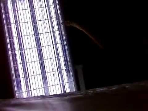 YouTube video about: How to use canopy tanning bed?