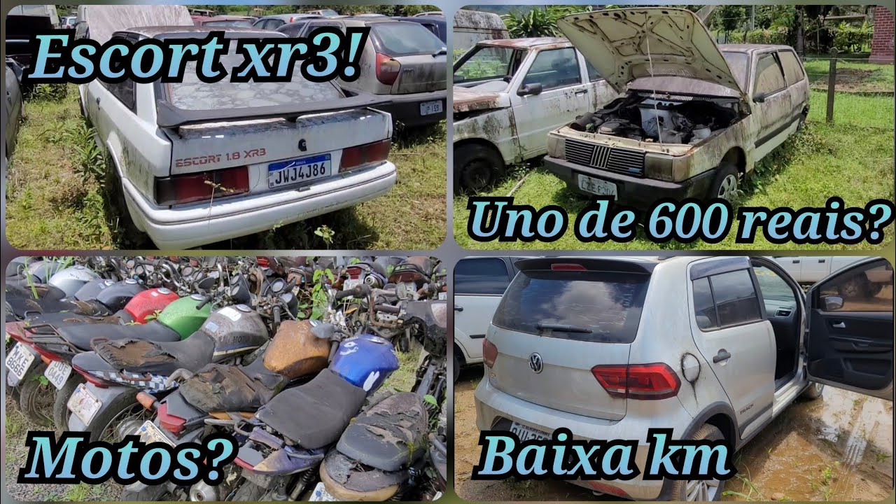 Comprei logo dois, nesse leilão do Senad em SC, o Pai ficou louco...