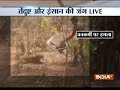 Maharashtra: Leopard attacks man during rescue operation in Chandrapur