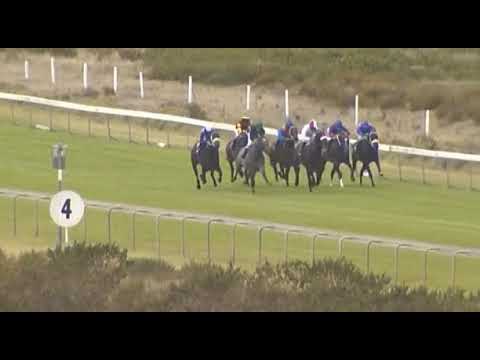 Eric The Red - Grade 3 Cape Of Good Hope Nursery