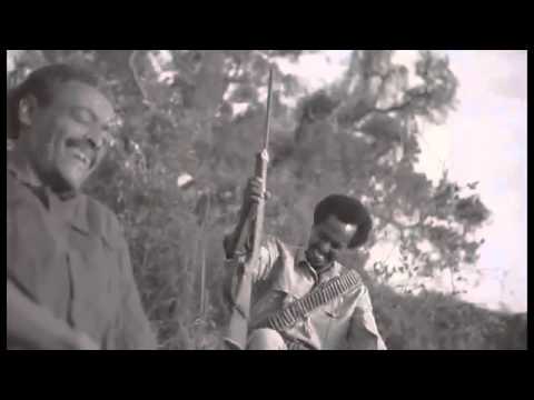 Madingo Afework, Belay Zeleqe Gojjam new music