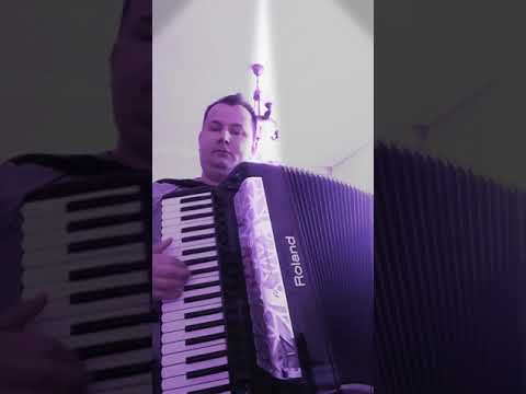 Faruk Mehinagic-Čardak Halid Bešlić