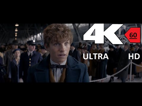 [4k] [60FPS] Fantastic Beasts and Where to Find Them Teaser Trailer 4K 60FPS HFR[UHD] ULTRA HD