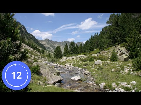 12 Hours / Sounds / MOUNTAIN STREAM / White Noise / Stream Sound / Nature Sounds / Sleep Sounds