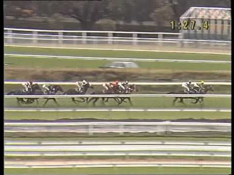 1995 AJC Derby - Ivory's Irish