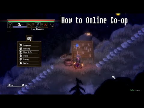 How To: Online CO-OP in Salt and Sacrifice (PC)