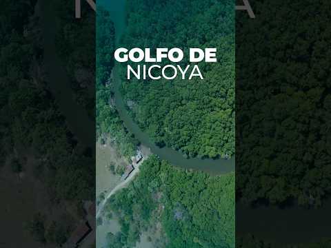 🌊✨ Somos dichosos de tener el Golfo de Nicoya.