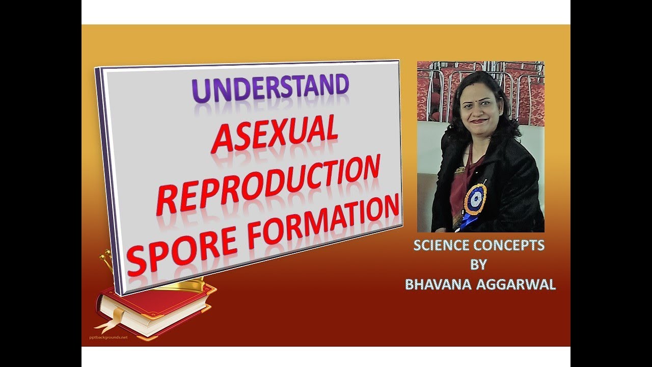 Asexual Reproduction - Learn How Spore Formation Takes Place