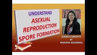 Asexual Reproduction - Learn How Spore Formation Takes Place