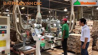 WOODMASTER. MÁY LÀM MỘNG DƯƠNG CNC 2 Đầu tải nặng cao tốc giá rẻ nhất thị trường VN 2020