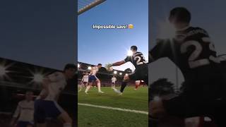 Incredible save!