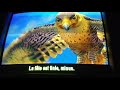 Stuart Little 2 Falcon Death
