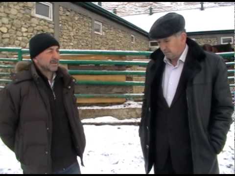 - Официальный сайт администрации МР “Лакский район”  - Официальный сайт администрации МР “Лакский район”