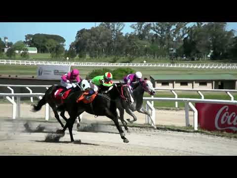 221014 c06 - AMIGO CHARRUA - HIPODROMO LAS PIEDRAS