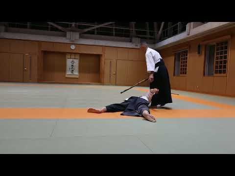 Aikido Master  (  O   Sensei  style )  Ryuji Sawa   7dan  合気道 三浦 2019