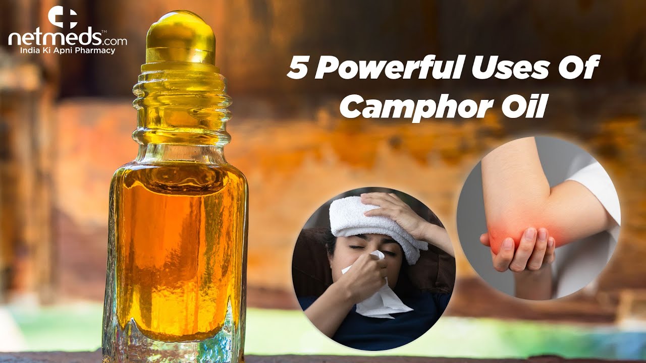 Where do we get camphor oil?