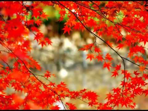 Radmila Jagodić - Kolika je u Prijedoru čaršija