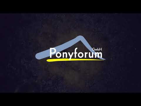 4j. Palominowallach v. Can Dance – Valentino