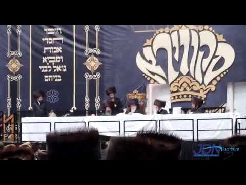 Sheva Brochos In Skver Motzei Shabbos Ekev 5782