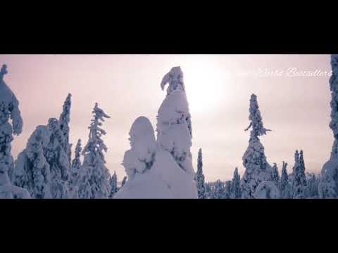 Roman Depthsound feat Maria Estrella - Need You Here (Nikko Culture Remix)