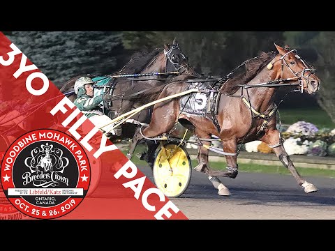 2019 Breeders Crown - Warrawee Ubeaut - 3YO Filly Pace