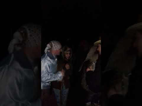 Ursu din Poiana Humei