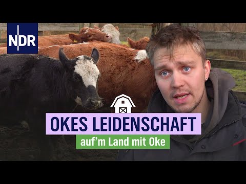 Oke und seine alte Technik: Kompost schreddern auf Amrum | NDR auf'm Land | Folge 8