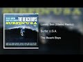 The Beach Boys - Lonely Sea (Stereo Remix)