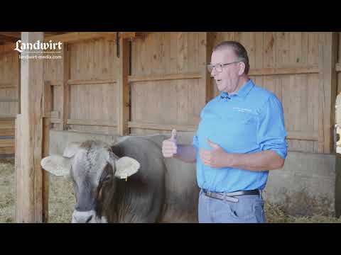 Low Stress Stockmanship (Landwirt media com).