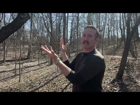 Olmsted Park’s Conservancy [Demo]