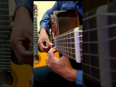Flor De Retama - Duo Retama
