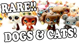 LPS - LARGE RARE DOGS AND CATS HAUL