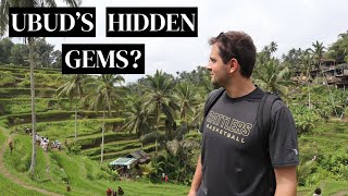Tegallalang Rice Terrace + Waterfalls | Ubud, Bali 🇮🇩