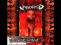 Aborted- To Roast and Grind 