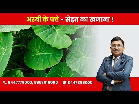 Arbi/Colocasia Leaves - Packed with Nutrients! | By Dr. Bimal Chhajer | Saaol
