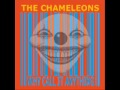 The Chameleons - Anyone Alive