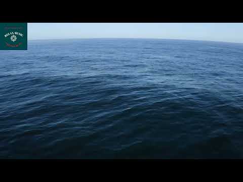 The most Relaxing Water ever | Calm Music NDF Relax Music.