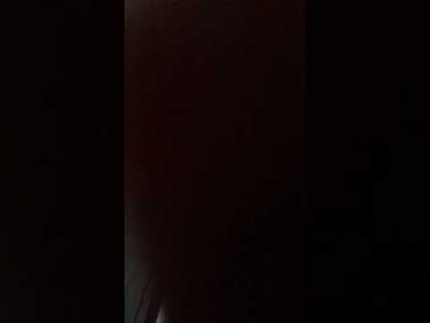 Essex Girls Ft Rude kid