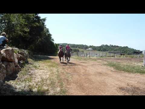 Pietriccio rosso Sandro Vannucci e Viviana Laudicina.MOV