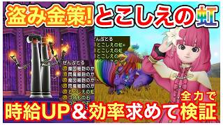 【ドラクエ10】サポで簡単盗み金策『とこしえの虹の効率検証』おすすめはコレ！【2026年最新版】