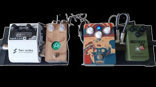 Video thumbnail for Simple & Deadly Psychedelic Doom pedalboard by Amduscias