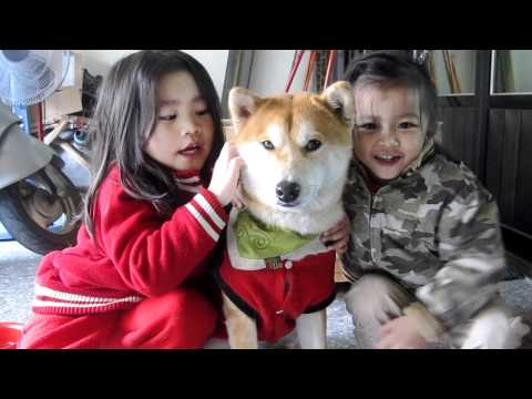 姐姐唱小毛驢給果汁聽...(原發表者:果汁媽)(影片)