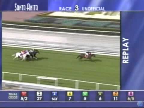 VAMO A GALUPIAR - 2011 Megahertz Stakes (1600m)