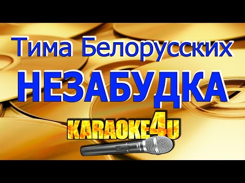 Тима Белорусских | Незабудка | Караоке (Кавер минус)